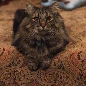 Meet your Posher, Denise